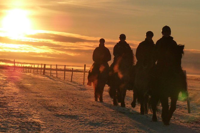 one-hour-horseback-riding-tour-in-the-icelandic-countryside-2