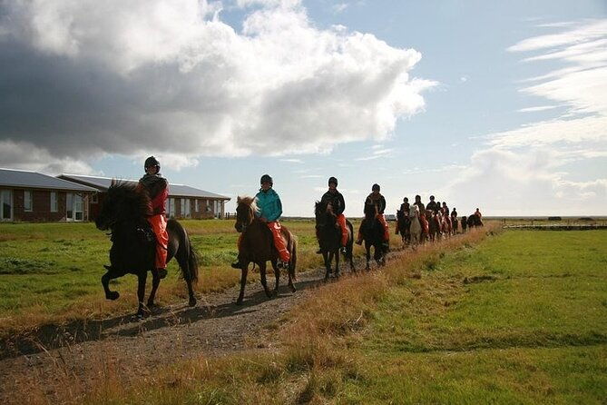 one-hour-horseback-riding-tour-in-the-icelandic-countryside-4