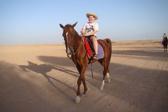 One Hour Horseback Riding Trip with Transfer - Sharm El Sheikh - Key Points  