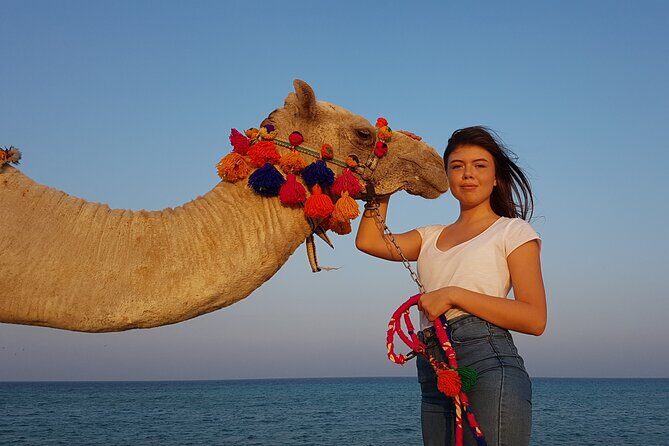One Hour Horseback Riding Trip with Transfer - Sharm El Sheikh - The Value of the Experience: What You Get for Your Money