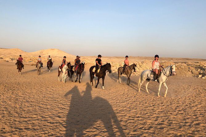One Hour Horseback Riding Trip with Transfer - Sharm El Sheikh - Who Should Consider This Tour?