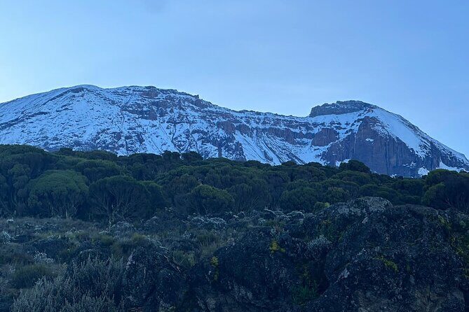 One Kilimanjaro Day hike Tour ISMANI TOURS AND SAFARIS - Quick overview and initial impressions