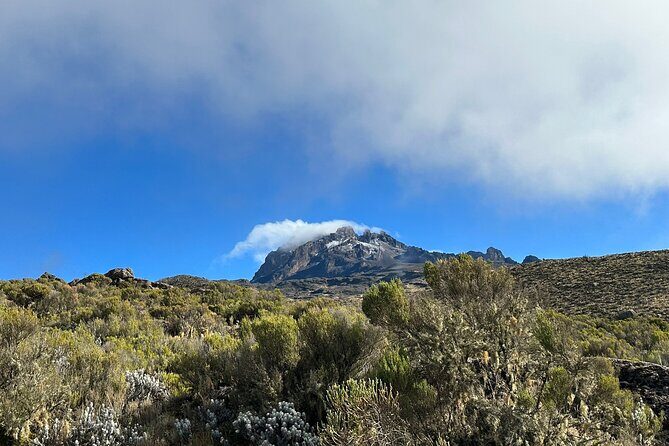 One Kilimanjaro Day hike Tour ISMANI TOURS AND SAFARIS - The Sum Up: who benefits most from this experience