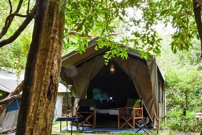 One Night Camping at Wasgamuwa National Park - Key Points