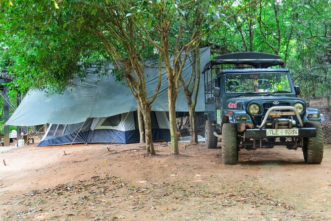 One Night Camping at Wasgamuwa National Park - The Value of a Night in the Wild