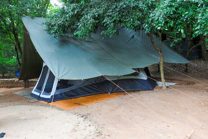One Night Camping at Wasgamuwa National Park - Who Would Love This Tour?