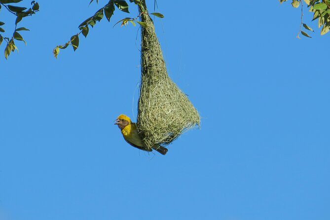 One Night Camping at Wasgamuwa National Park - Final Thoughts: Is It Worth It?