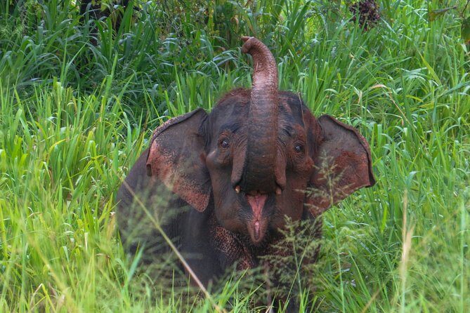 One Night Camping at Wasgamuwa National Park - FAQs