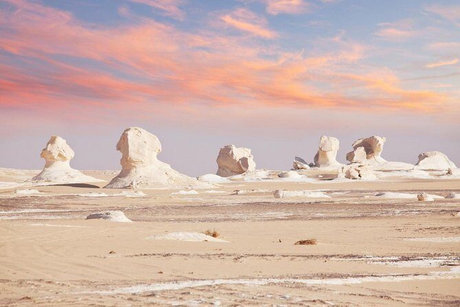 One Night Camping In White & Black Deserts Baharaya Oasis From Cairo - The Experience in Detail
