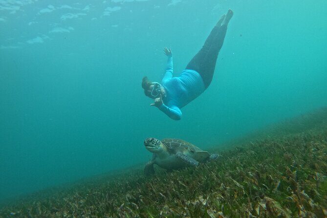 One on One Snorkel Experience - FAQs