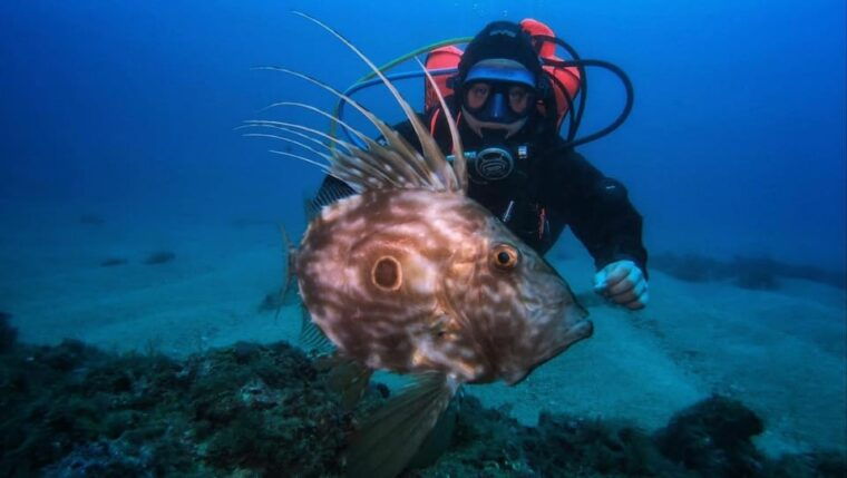 one-scuba-diving-day-trip-to-costa-brava