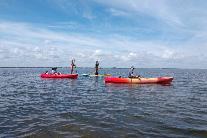 one-tandem-kayak-rental-for-2-hours-with-manatee-dolphin-sightings