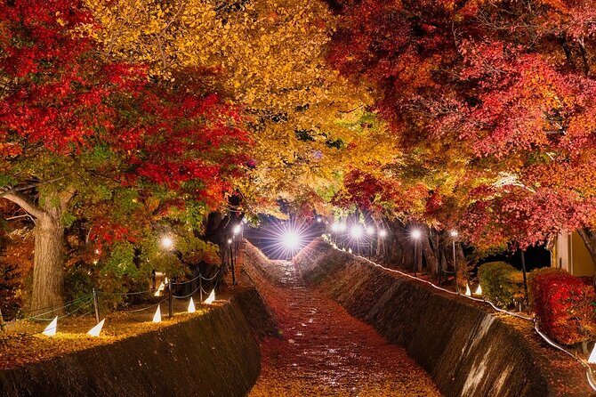 One Way Bus From Kawaguchiko to Hirayu - Who Should Book This Service?