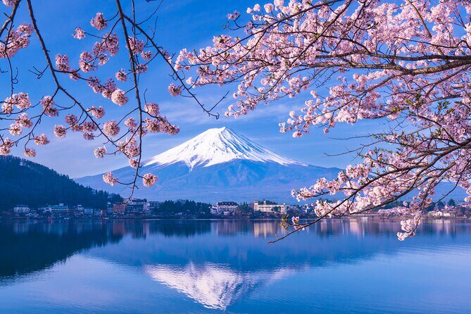 One Way Bus from Kawaguchiko to Tokyo - An In-Depth Look at the Experience