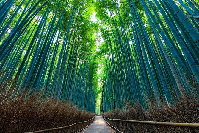 one-way-bus-takayama-to-kyoto-via-shirakawago