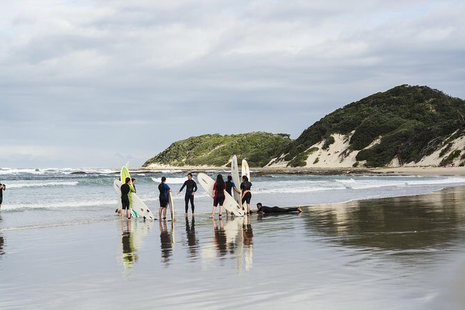 One-Way Hop-on Hop-off Bus from Port Elizabeth to Cape Town - The Sum Up