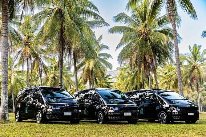 One Way Port Douglas to Cairns Shuttle Services - Summary for Travelers
