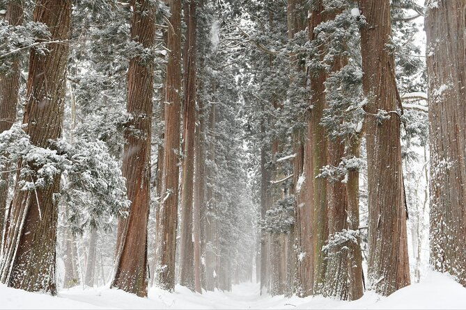 one-way-private-shuttle-to-nagano-ski-centers