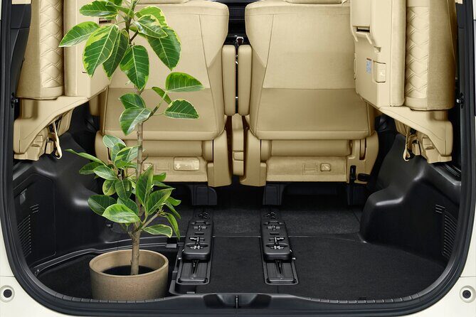 One Way Shuttle Van Transfer, Tokyo  East Shizuoka - Authentic Experiences and Review Insights