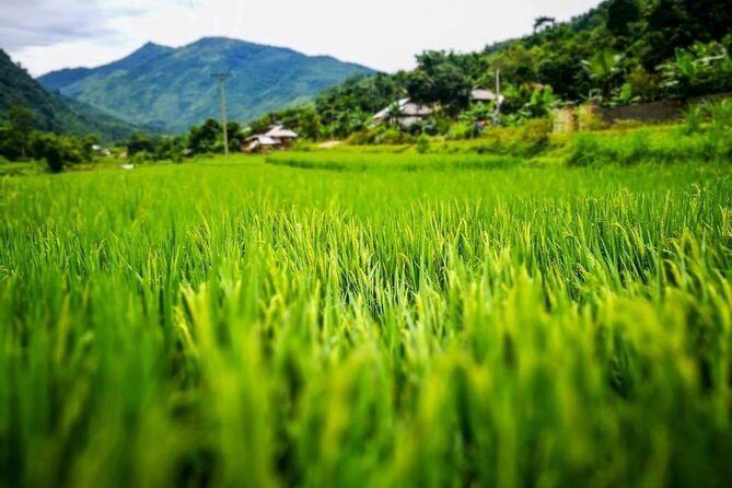 One Way Tour Dalat to Nha Trang or Nha Trang to Dalat - An In-Depth Look at the Tour Experience