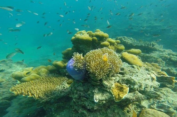 Oneday Tour 4 Islands and Emerald Cave By Tin Adventure Sea Tour from Koh Lanta - Starting Point and Pickup