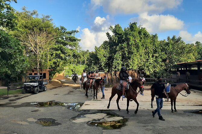oneway-transfer-san-juan-from-to-rio-grande-or-loiza