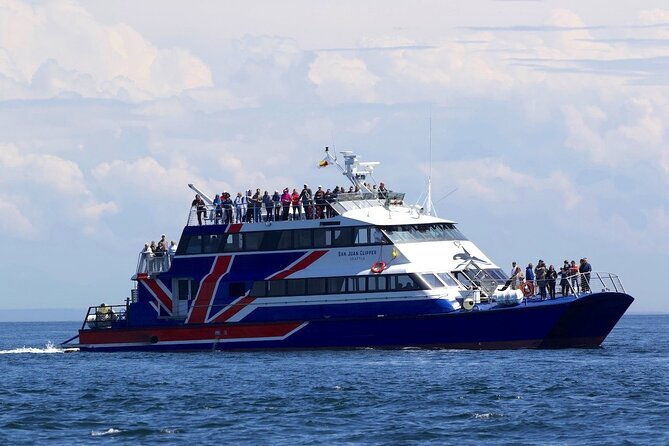 only-wildlife-and-whale-watching-tour-leaving-from-seattle-2
