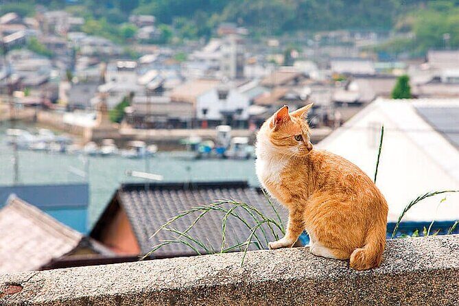 Onomichi and Fukuyama Day Tour - Key Points