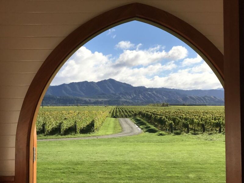 onshore-highlights-of-marlboroughs-wine-region-from-picton