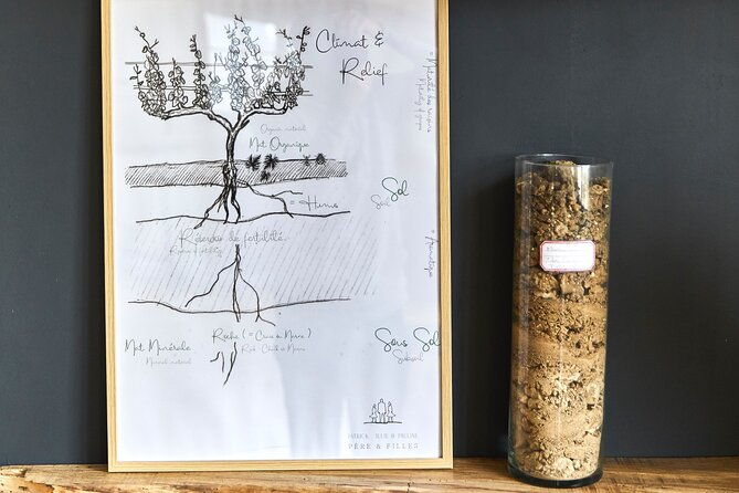 op1-tasting-of-three-champagnes-in-cramant