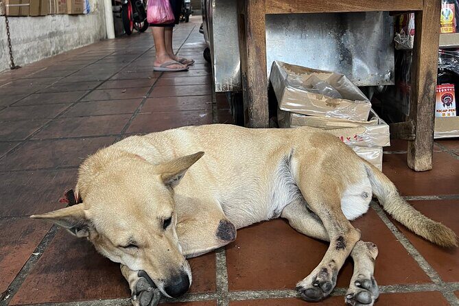 Open Air Market Tour in Penang - Is This Tour Right for You?