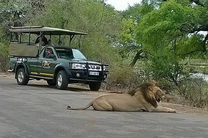 Open Vehical Safari in Kruger National Park Half Day - The Experience: What to Expect on Your Safari