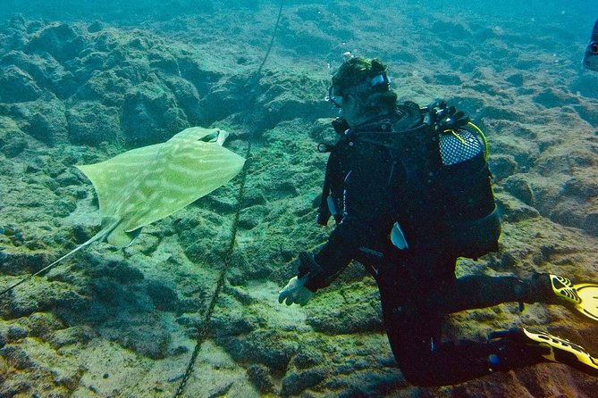 open-water-certification-become-an-autonomous-diver-up-to-18m