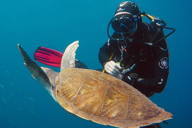 open-water-certification-become-an-autonomous-diver-up-to-18m