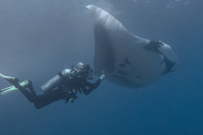 open-water-diver-certification-owd
