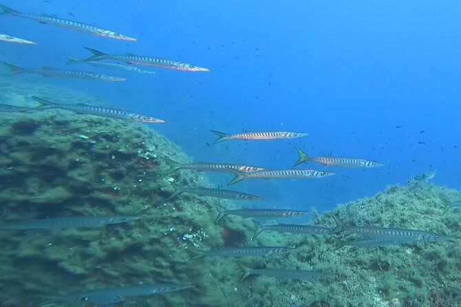 open-water-diver-course
