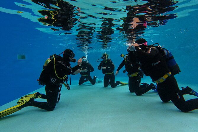 open-water-diver-course-in-arrabida-natural-park-near-lisbon