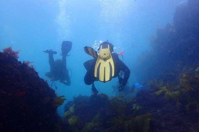 open-water-diver-course-in-arrabida-natural-park-near-lisbon