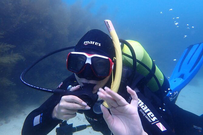 open-water-diver-course-in-arrabida-natural-park-near-lisbon