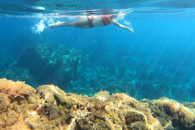 open-water-swimming-in-madeira