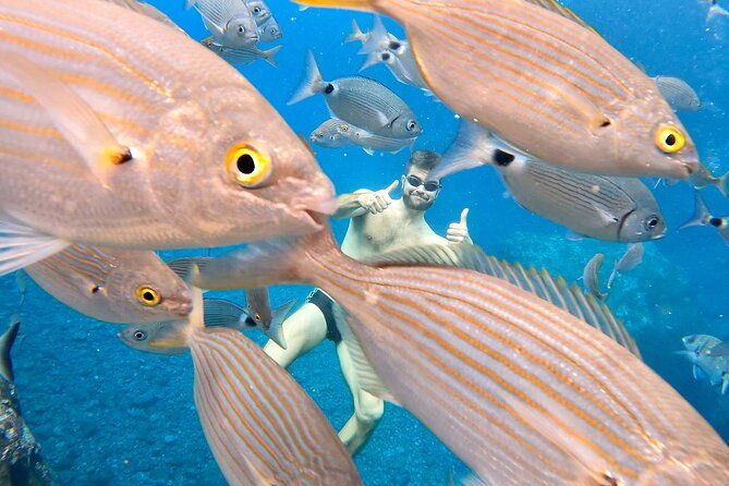 open-water-swimming-in-madeira
