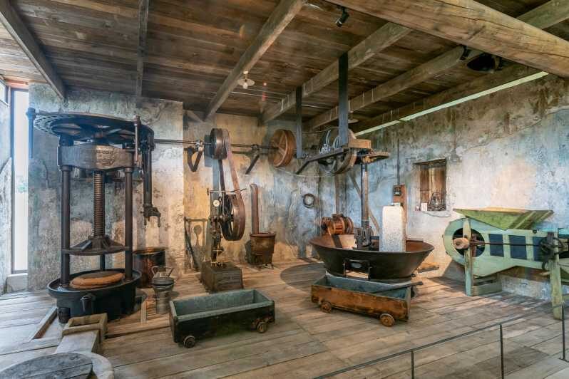 Oppède: Olive Oil Museum Visit - Who Should Consider This Tour?