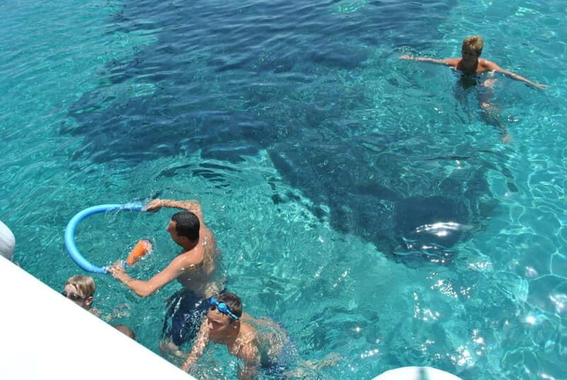 Orak island Boat Trip Bodrum - The Practical Side: Whats Included and Whats Not