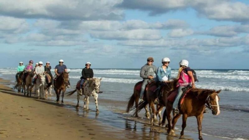 Oran: Horseback Riding Tour with Mint Tea and Pickup - Key Points