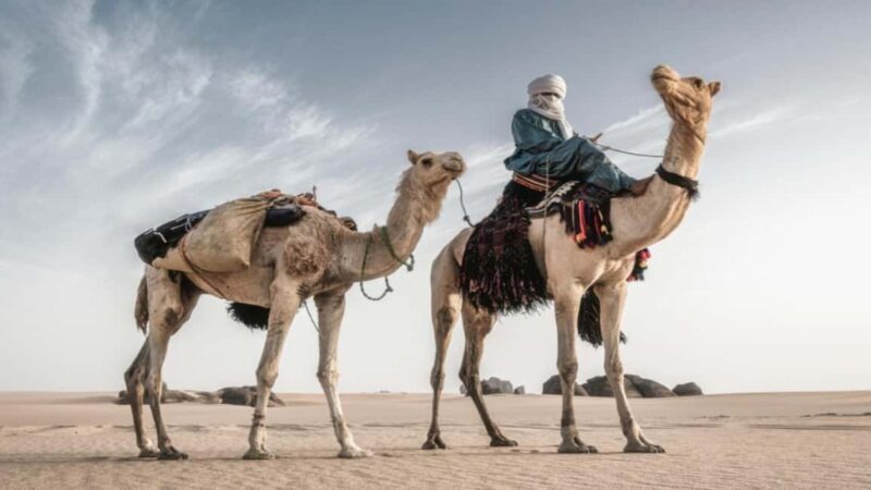 Oran: Scenic Camel Ride with Mint Tea - The Experience with Taessa Travel