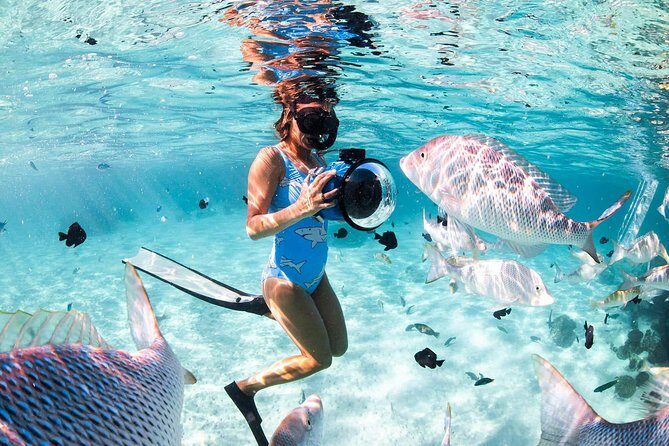 Orange Bay Full-Day Snorkeling With lunch - FAQ