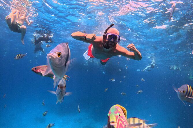 Orange Bay Island Cruise with Breakfast, Lunch and Drinks - The Sum Up