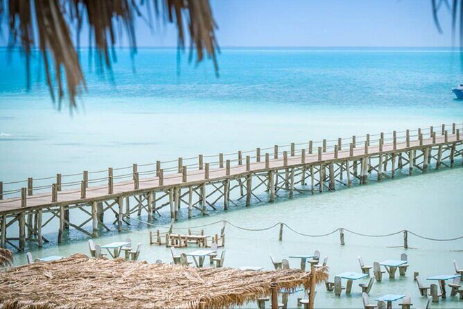 Orange Bay island Maldives of Egypt snorkeling Private 4 hours - What to Expect: A Well-Organized, Luxurious Day