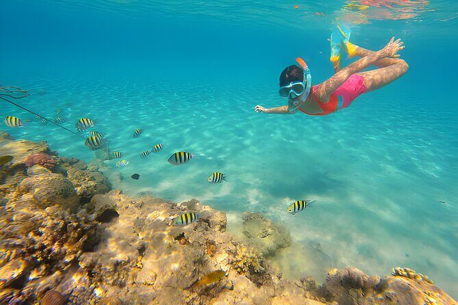 Orange Bay Island with Snorkeling Boat Trip in Hurghada - Egypt - What Makes This Experience Stand Out?