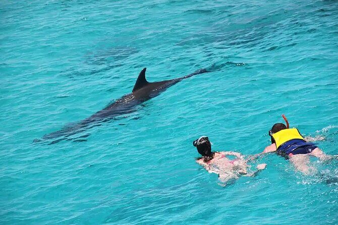 Orange Bay snorkeling tour with Lunch - water sports - Key Points